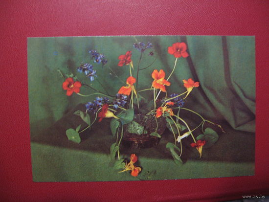 Открытка композиция из цветов (1974 год)