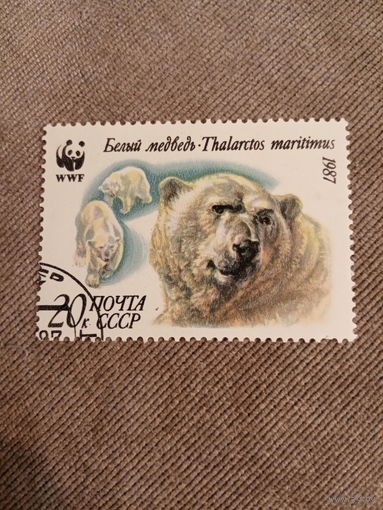 СССР 1987. Белый медведь