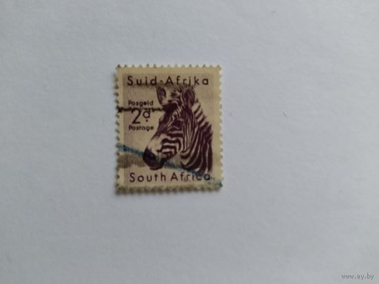 Ю.Африка 1954