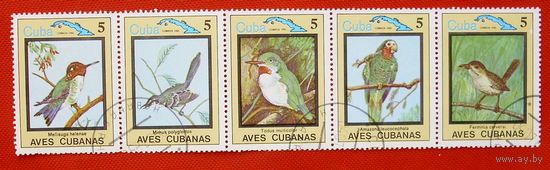 Куба. Птицы. ( Сцепка ) 1983 года.