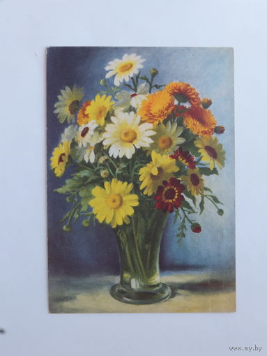 Цветы  Чехословакия 1951 10х15 см