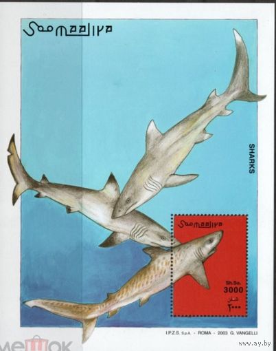 Сомали 2003 Акулы MNH