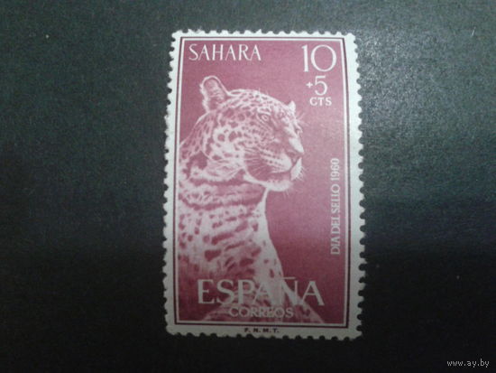 Сахара 1960 колония Испании леопард