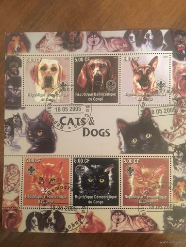 Конго 2005. Собаки и кошки (большой блок)