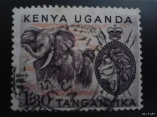 Кения Уганда Танганьика 1954 королева, слоны