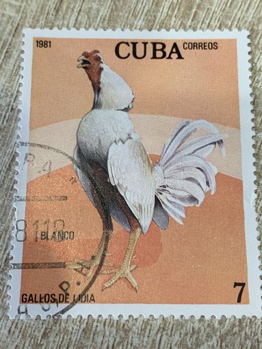 Куба 1981. Домашняя птица. Петух порода Blanco. Марка из серии