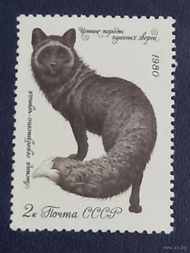 СССР 1980г. Лисица серебристо-черная.