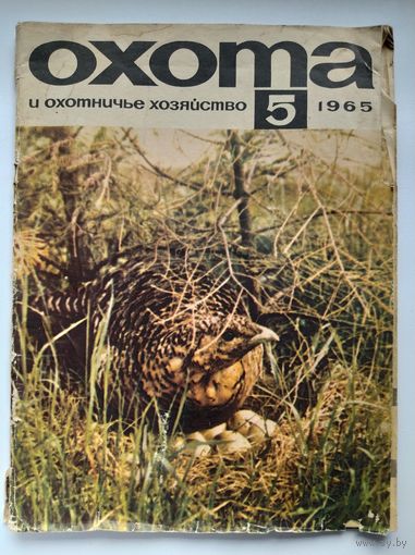 Охота и охотничье хозяйство 1965 год, 5 номер