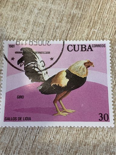 Куба 1981. Домашняя птица. Петух породы Giro. Марка из серии