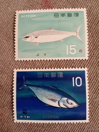 Япония. Рыбы. Тунец