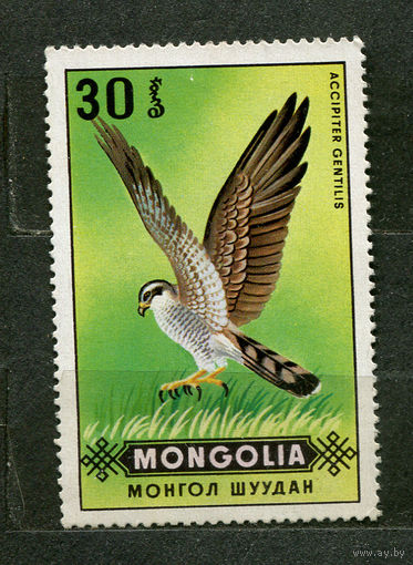 Хищные птицы. Ястреб. Монголия. 1970. Чистая