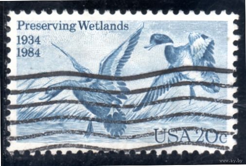 США.Ми-1701. Маллард (Anas platyrhynchos). Серия: Закон о сохранении водоплавающих птиц, 50-летие. 1984.