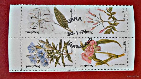 Нагалэнд 1974г., цветы