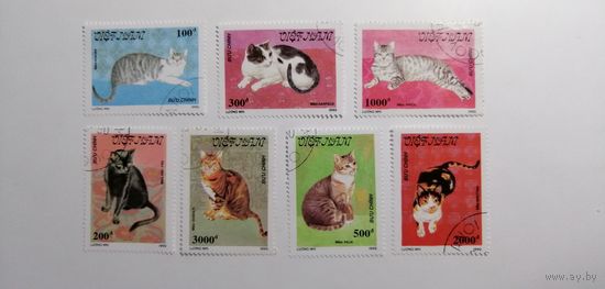 Вьетнам 1990. Коты. Полная серия