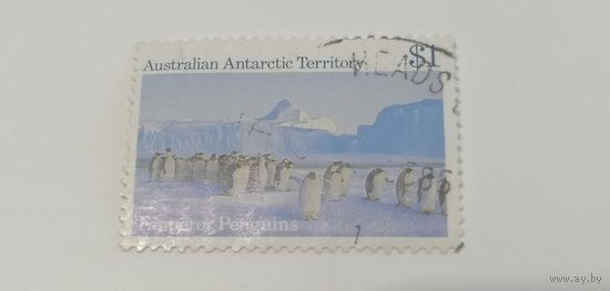 Австралийские антарктические территории. 1984. Антарктические виды.