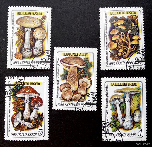 СССР 1986 г. Грибы. Флора, полная серия из 5 марок #0058-Ф2P10