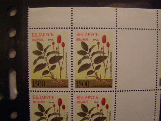 Беларусь 1996 164 Флора Дефект отсутствие марки** Лекарственные растения