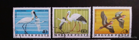 Венгрия, 1977, фауна, перелетные птицы, гаш