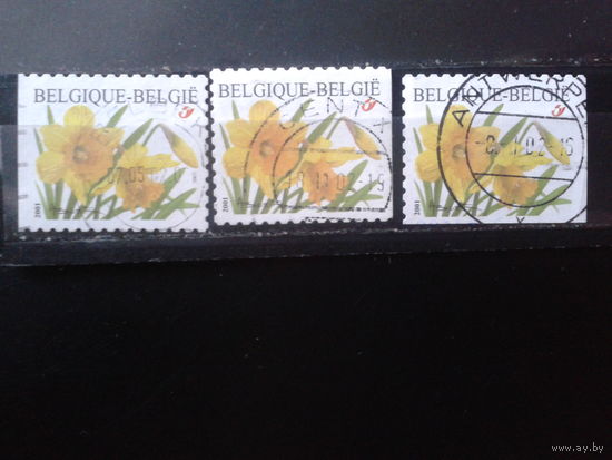 Бельгия 2001 Нарциссы, разновидности по расположению в буклете  Михель-2,7 евро гаш