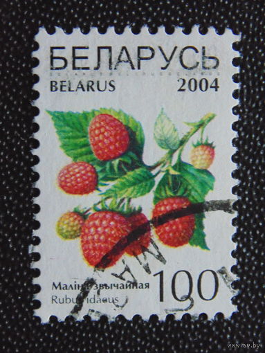 Беларусь 2004 г. Стандарт.