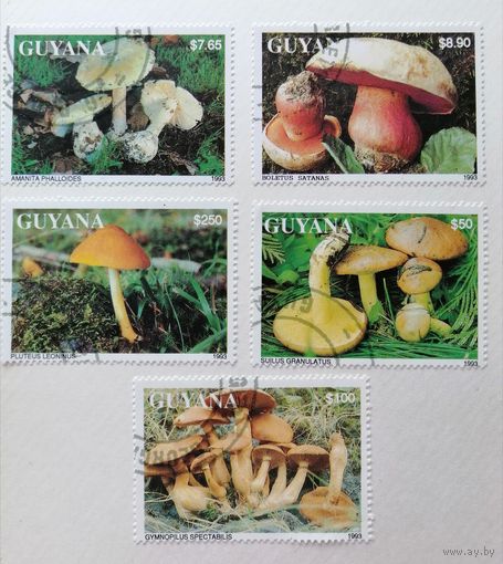 Гайана /1993/ флора - грибы. 5 марок