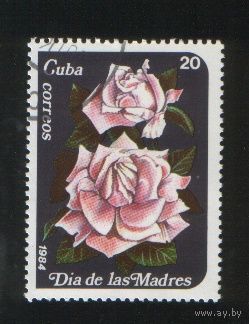 Куба 1984. День матери