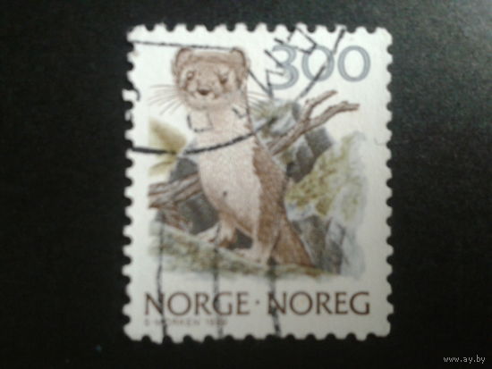 Норвегия 1989 соболь
