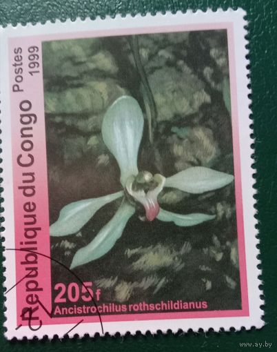 Конго 1999 Цветы