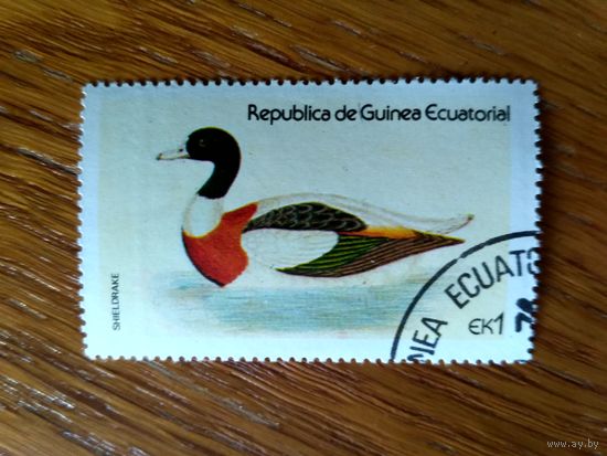 Марки Экваториальной Гвинеи. Утка пеганка.