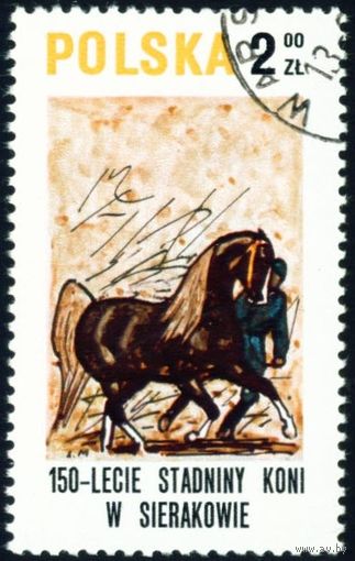 50-летие конного завода в Серакуве Польша 1980 год 1 марка