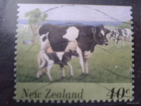 Новая Зеландия 1995  Коровы