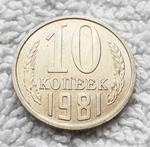10 копеек 1981 СССР #11 UNC