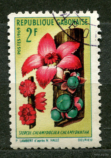 Цветы. Флора. Габон. 1969