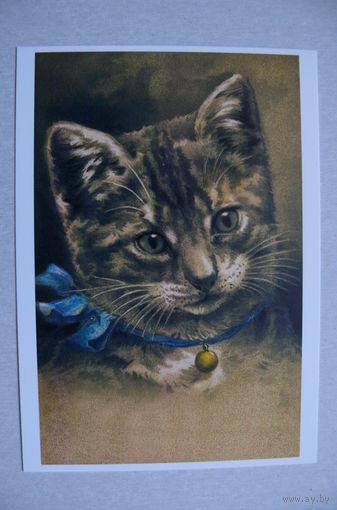 Неизвестный художник, Кошка (репринт), чистая (серия "Коллекция ретро-открыток").
