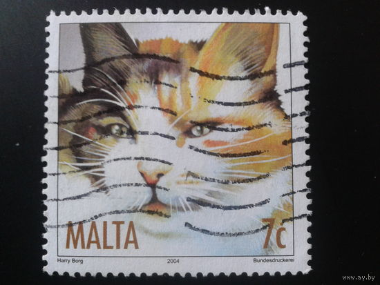 Мальта 2004 кошка