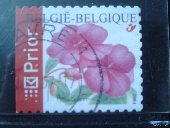 Бельгия 2004 Стандарт, цветы, марка из буклета