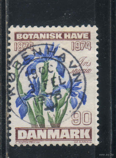 Дания 1974 100 летие Ботанического сада Копенгагена Голубой ирис #575