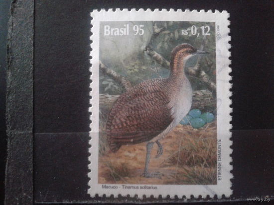 Бразилия 1995 Птица