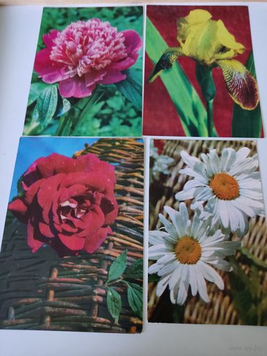 4 открытки с фото В.Германа ( 2 чистые, 2 подписаны)