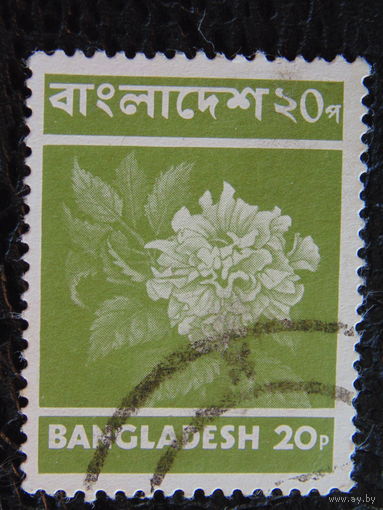 Бангладеш. Флора.