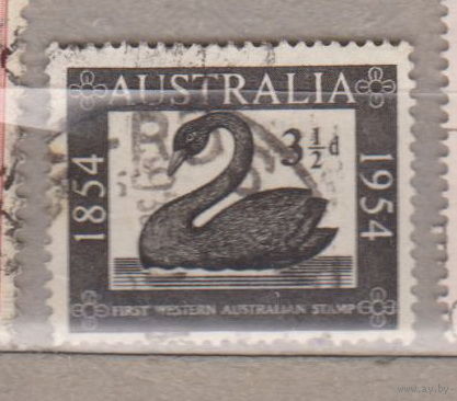 100-летие первой западноавстралийской марки Австралия 1954 год лот 1 фауна Лебедь Птицы