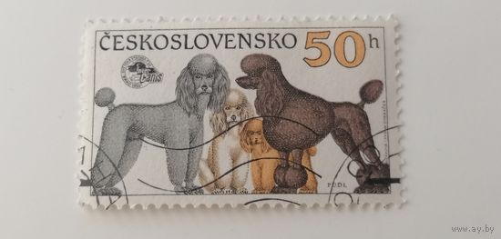 Чехословакия 1990. Собаки.