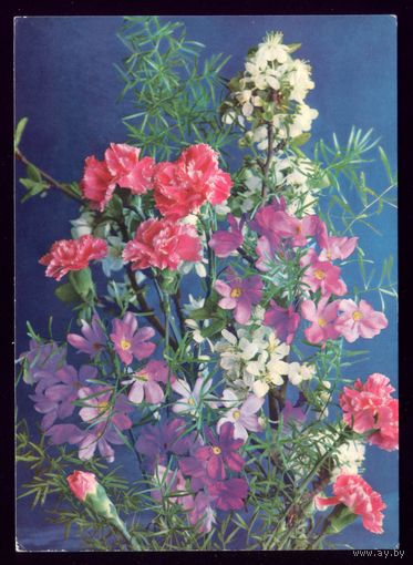 1978 год Г.Костенко Цветы чист