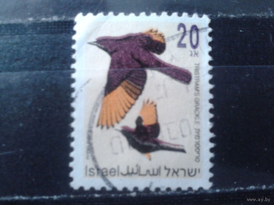 Израиль 1992 Стандарт, птица 20