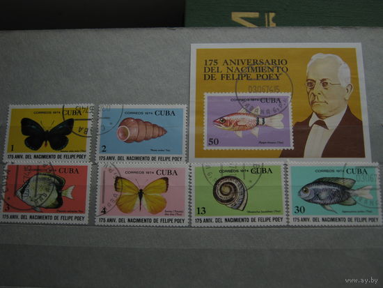 Марки - Куба, 1974 - блок и 6 марок - фауна, бабочки, рыбы, ракушки