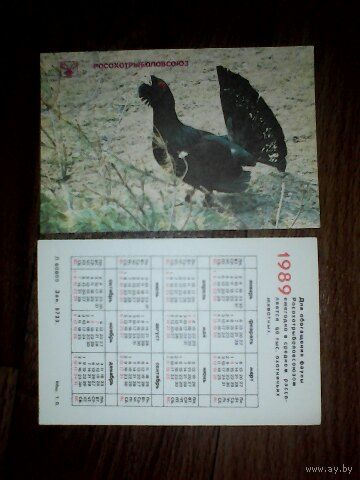 Карманный календарик.Глухарь. 1989 год