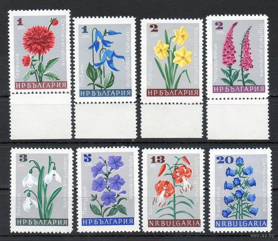 Цветы Болгария 1966 год серия из 8 марок