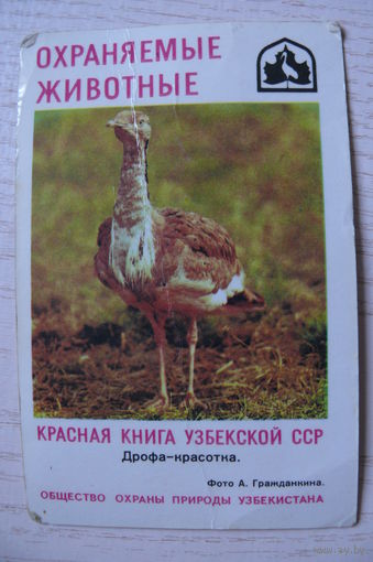 Календарик, 1985, Дрофа-красотка, из серии "Охраняемые животные. Красная книга Узбекской ССР".