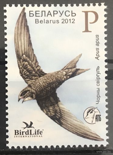 2012 Птица года. Черный стриж
