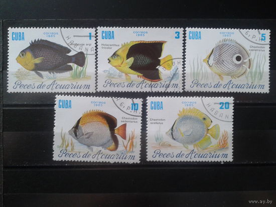 Куба 1985 Аквариумные рыбки